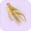 Ginseng